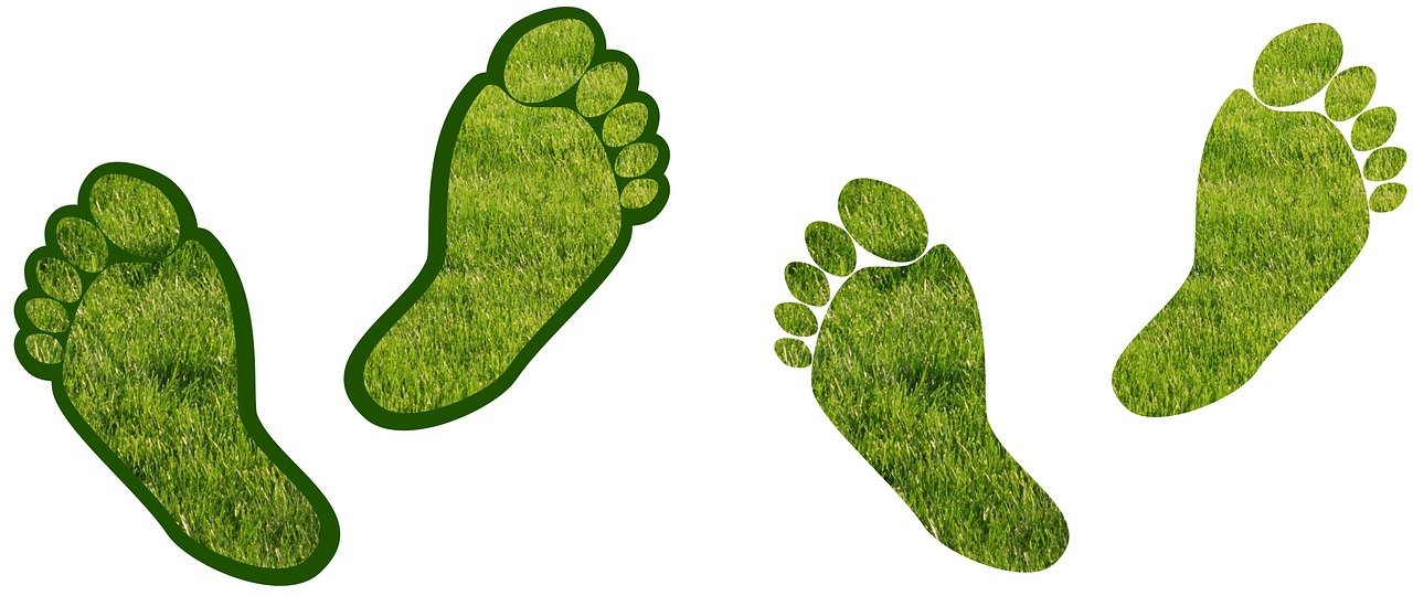 footprint-01608492158.jpg